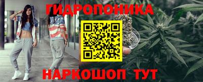 дмт Пенза